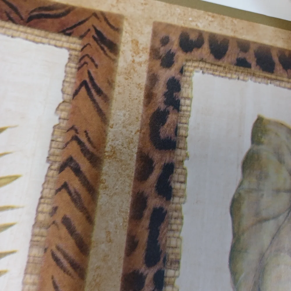 Wallpaper Border Animal Skin Tropical Palms